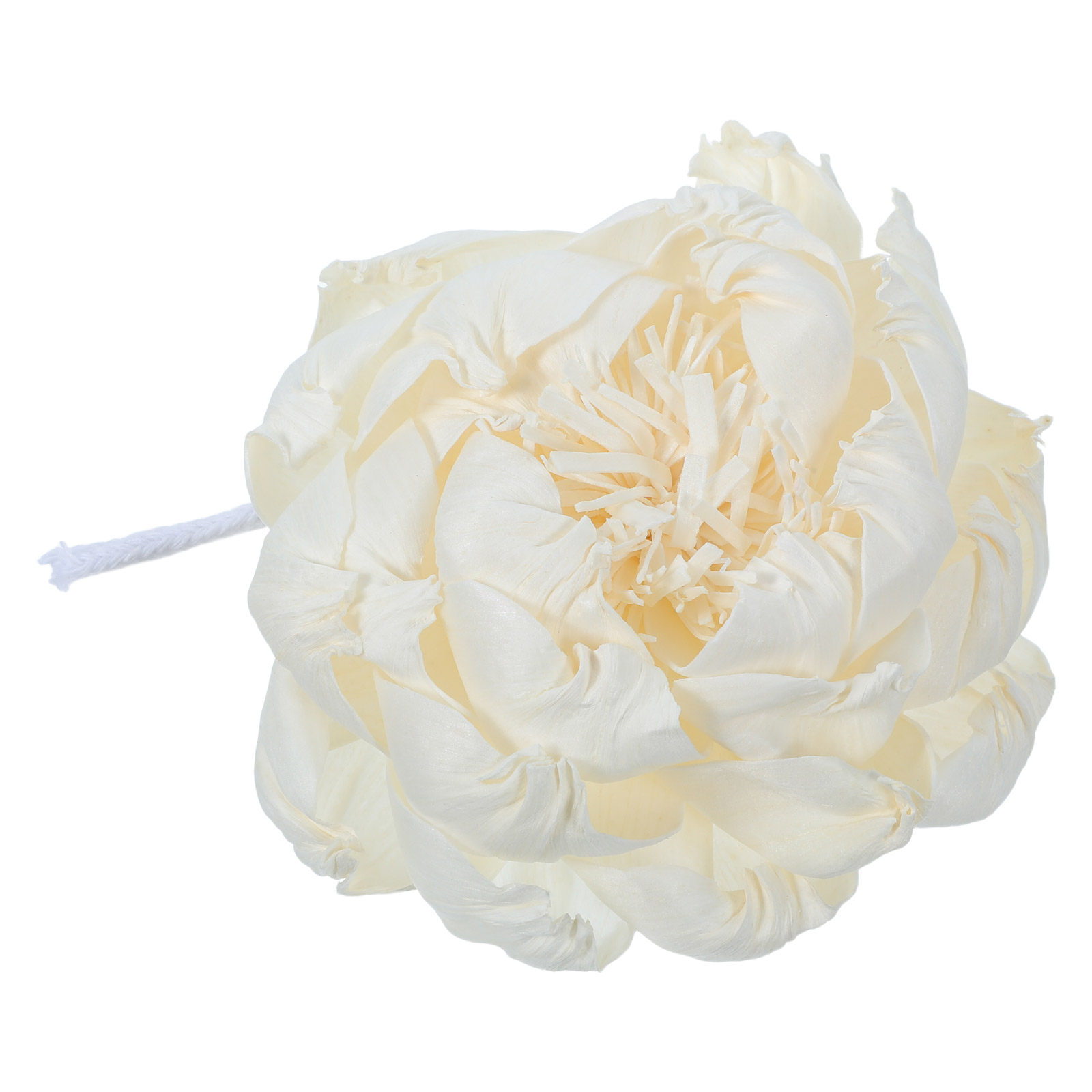 Peony Head Fragrance Diffuser  - đánh giá và giá Home Fragrance Diffuser Oil