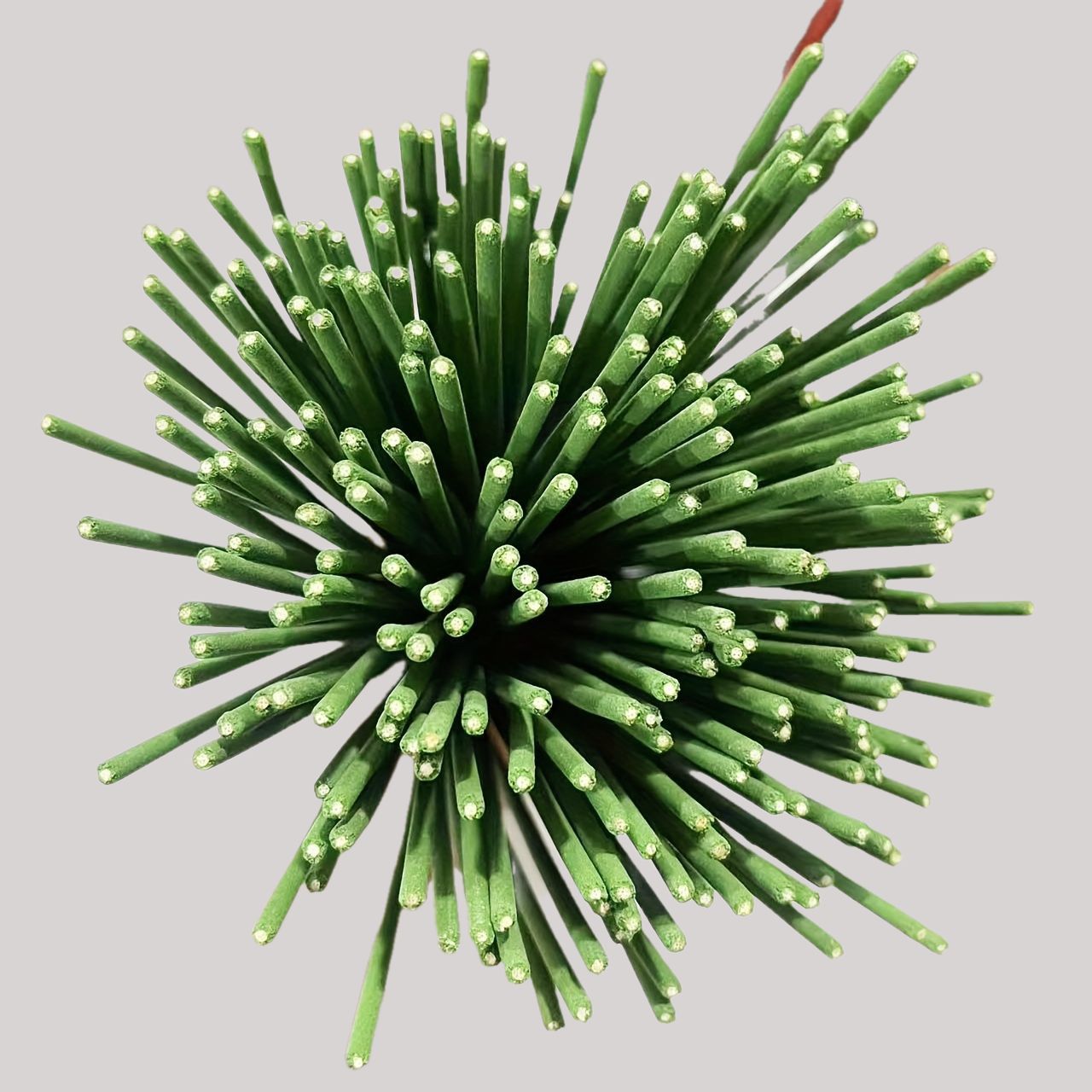 Reed Diffuser Sticks Lemongras - đánh giá và giá Home Fragrance Best