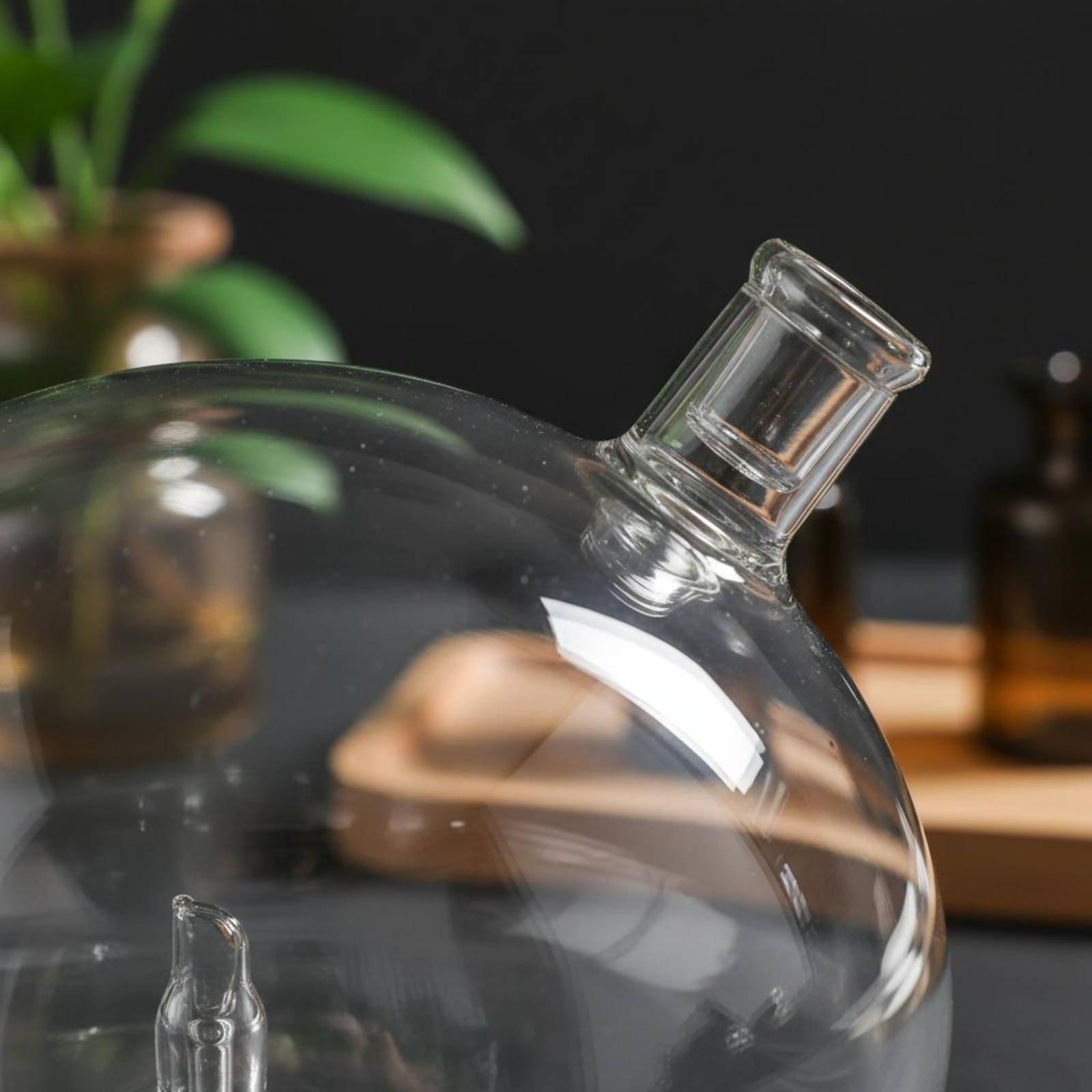 Diffuser Bottle Universal Fit  - đánh giá và giá Home Fragrance And Diffuser